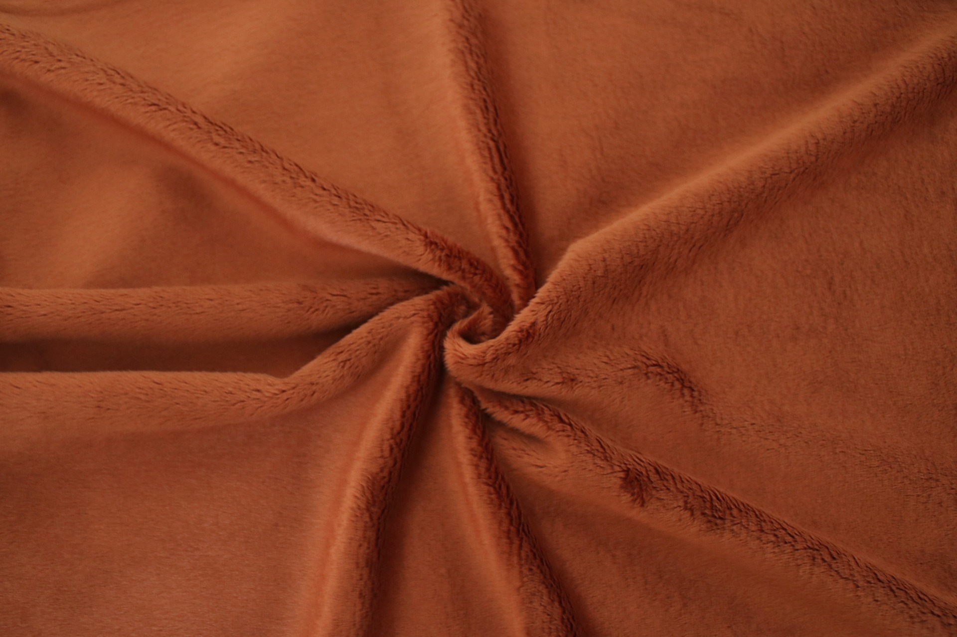 Terrakotta / Terracotta