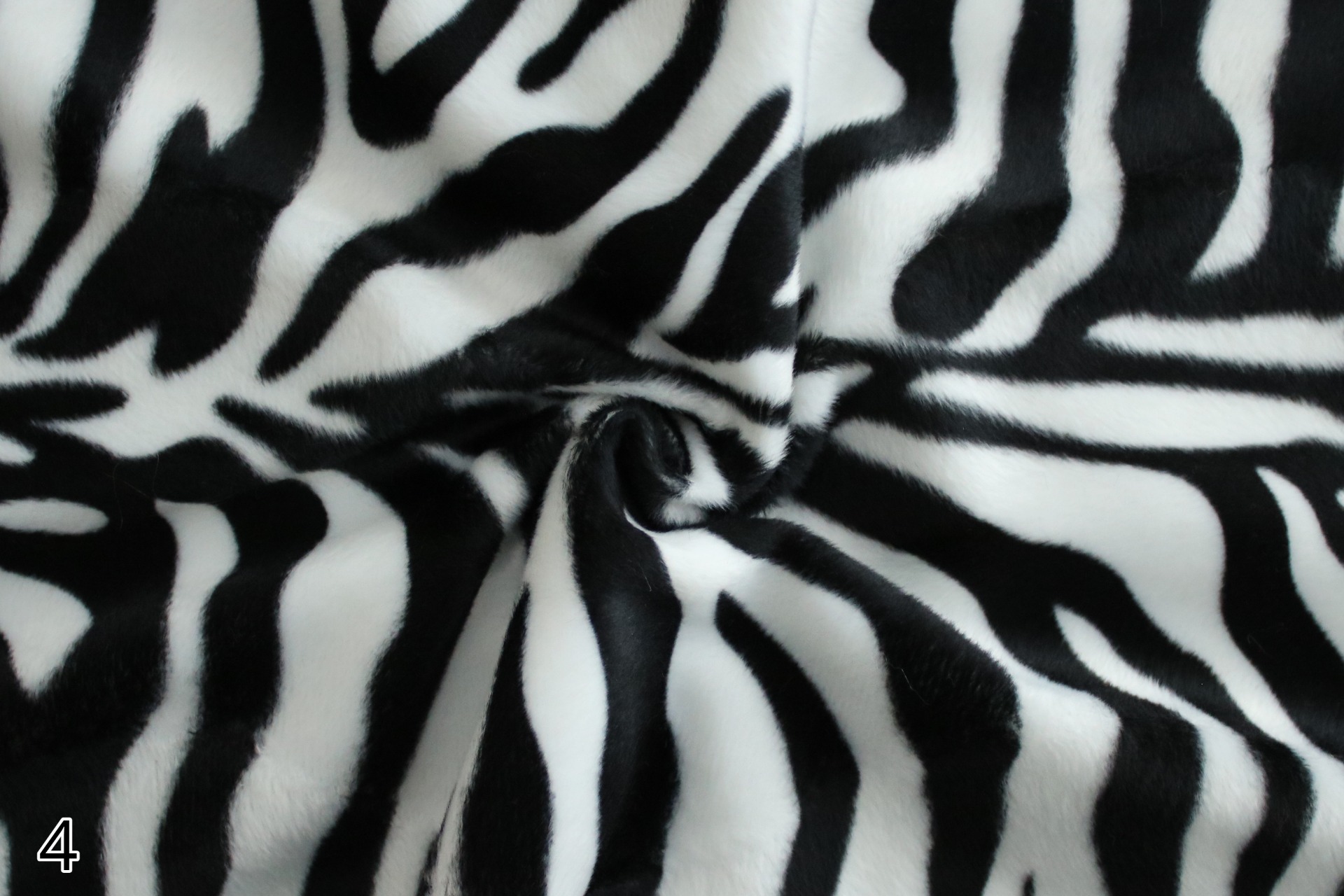 Seepra / Zebra